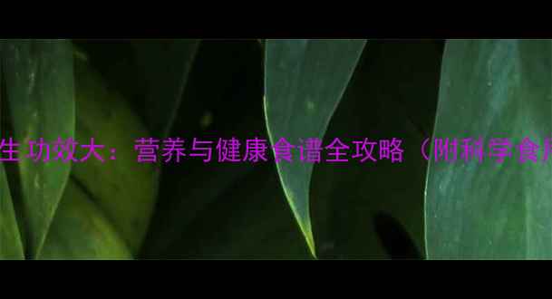 油葵的养生功效大营养与健康食谱全攻略附科学食用指南