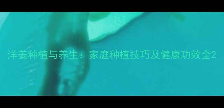 洋姜种植与养生家庭种植技巧及健康功效全