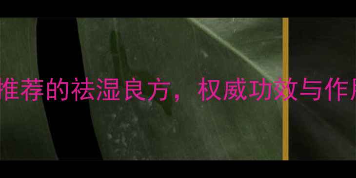 湿热清中医推荐的祛湿良方权威功效与作用及适用人群