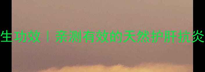 灯盏花注射的十大养生功效亲测有效的天然护肝抗炎疗法附使用指南