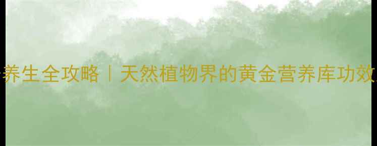 灯盏花粉养生全攻略天然植物界的黄金营养库功效大公开