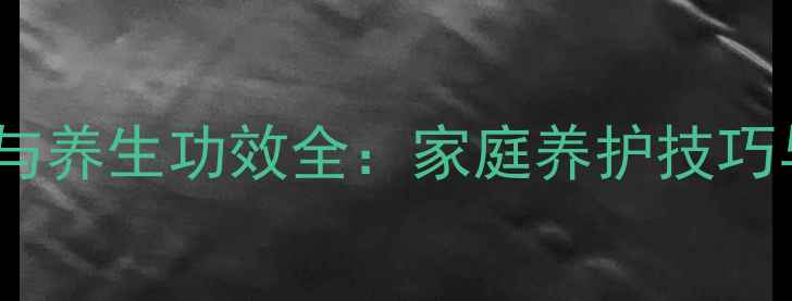 熊童子养殖与养生功效全家庭养护技巧与注意事项