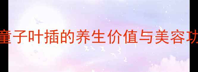 图片 熊童子叶插的养生价值与美容功效