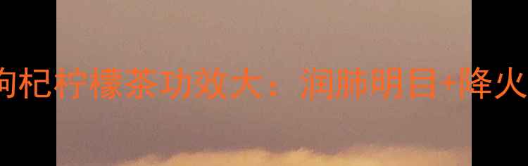 熬夜党必备菊花枸杞柠檬茶功效大润肺明目降火解腻喝出好气色