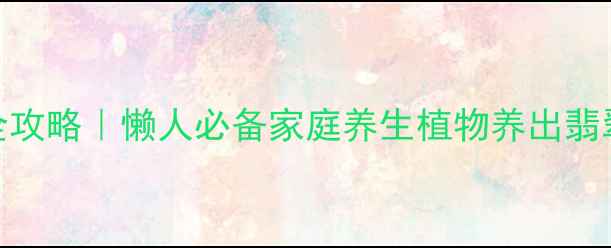 燕子掌神仙掌养殖全攻略懒人必备家庭养生植物养出翡翠色叶片的5大秘诀