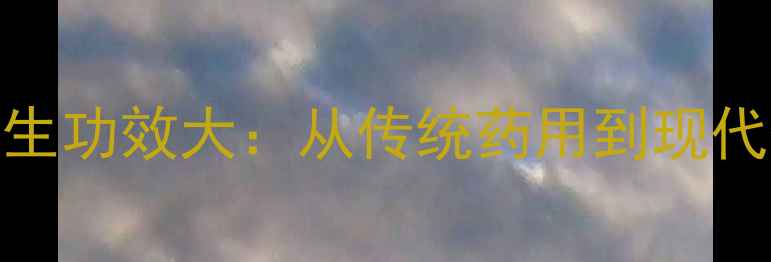 图片 爬山虎养生功效大：从传统药用到现代研究的全