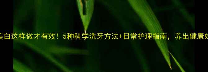 牙齿美白这样做才有效5种科学洗牙方法日常护理指南养出健康好笑容