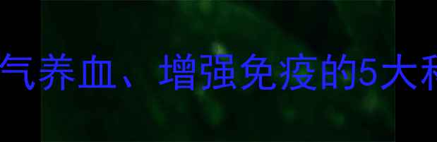 牛尾参养生功效权威补气养血增强免疫的5大科学依据与适用人群指南