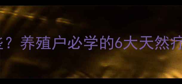图片 牛胀气土方子有哪些？养殖户必学的6大天然疗法及科学预防指南1