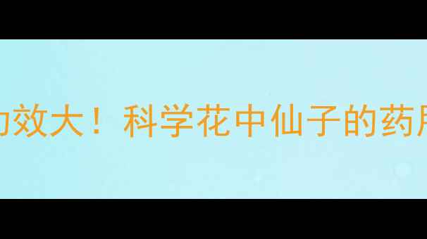 图片 牡丹花美容养颜功效大！科学花中仙子的药用价值与养生妙用