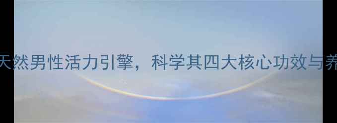 牡蛎肽片天然男性活力引擎科学其四大核心功效与养生应用指南