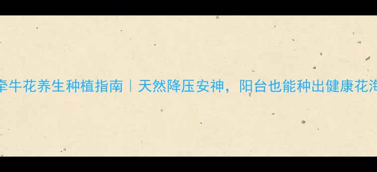 图片 牵牛花养生种植指南｜天然降压安神，阳台也能种出健康花海