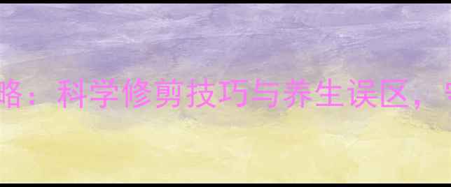 狗狗指甲护理全攻略科学修剪技巧与养生误区守护爱犬关节健康