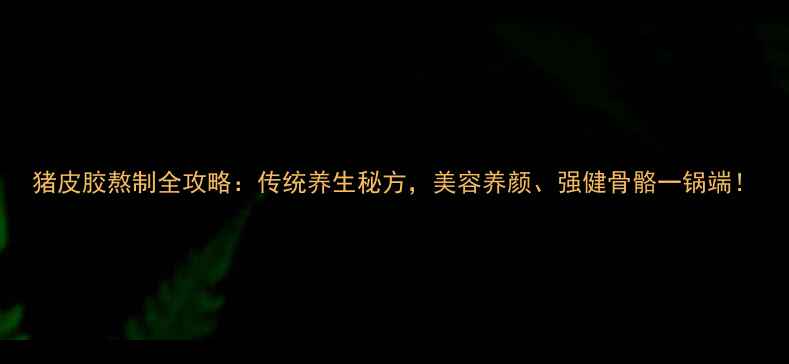 猪皮胶熬制全攻略传统养生秘方美容养颜强健骨骼一锅端