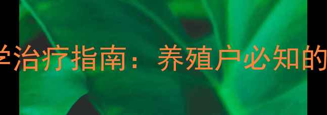 图片 猪肠胃炎的预防与科学治疗指南：养殖户必知的家庭护理与用药方案1