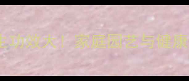 图片 玉树嫁接长寿花养生功效大！家庭园艺与健康双提升的天然疗法2