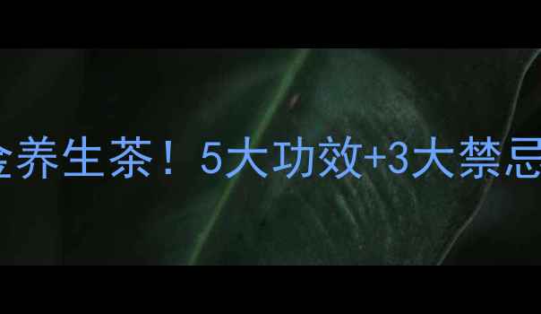玉米须菊花泡水黄金养生茶5大功效3大禁忌这样喝效果翻倍