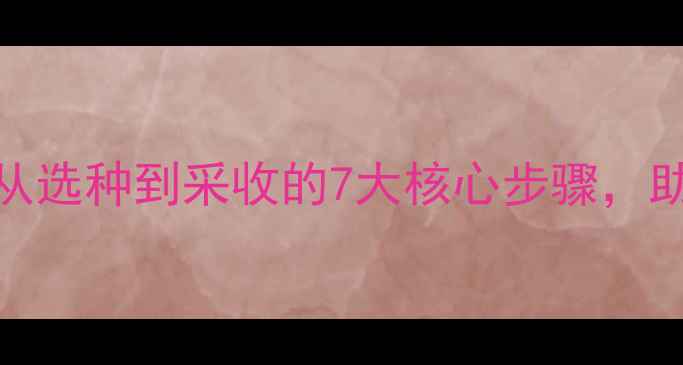 图片 玛卡种植全攻略：从选种到采收的7大核心步骤，助您打造养生玛卡田