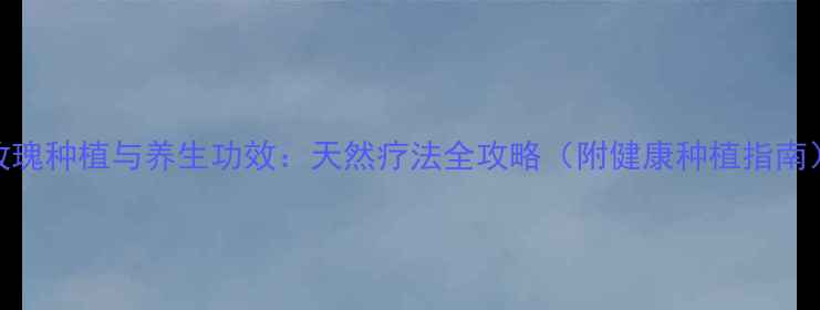 玫瑰种植与养生功效天然疗法全攻略附健康种植指南