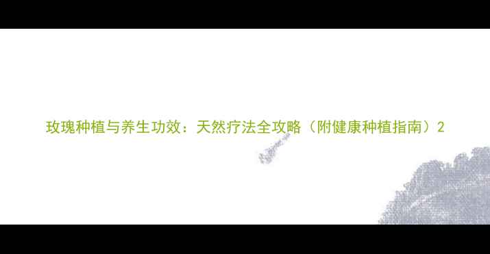 图片 玫瑰种植与养生功效：天然疗法全攻略（附健康种植指南）2