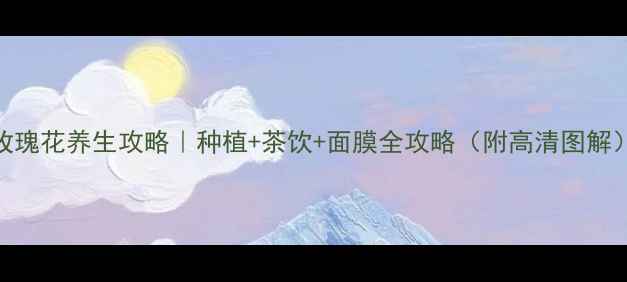 玫瑰花养生攻略种植茶饮面膜全攻略附高清图解