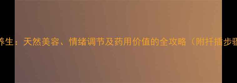 玫瑰花扦插与养生天然美容情绪调节及药用价值的全攻略附扦插步骤与日常用法