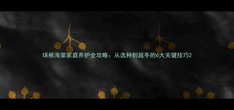 图片 球根海棠家庭养护全攻略：从选种到越冬的6大关键技巧2