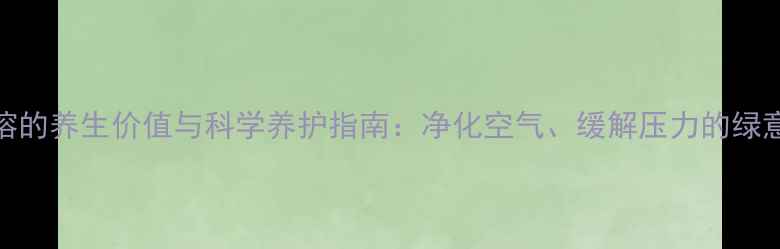 图片 琴叶榕的养生价值与科学养护指南：净化空气、缓解压力的绿意秘诀