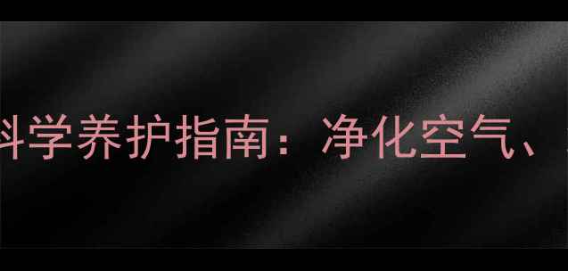 图片 琴叶榕的养生价值与科学养护指南：净化空气、缓解压力的绿意秘诀1