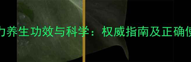 甘诺宝力养生功效与科学权威指南及正确使用方法