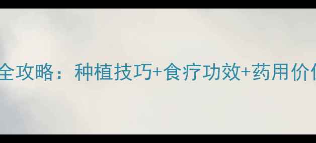 甘露子种植与养生全攻略种植技巧食疗功效药用价值助你健康生活