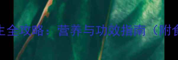 甜菜籽养生全攻略营养与功效指南附食用建议