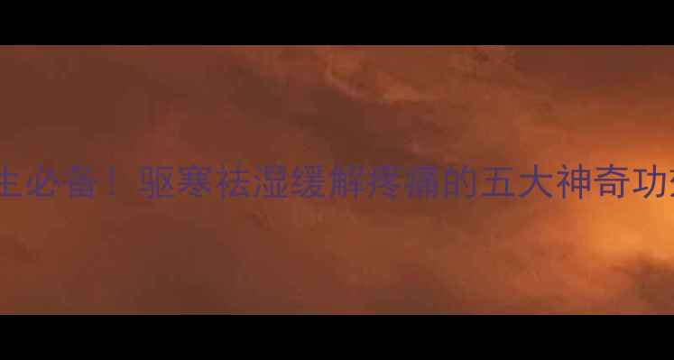 生姜艾叶贴冬季养生必备驱寒祛湿缓解疼痛的五大神奇功效及科学使用指南