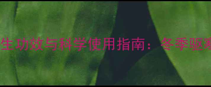 生姜足贴的五大养生功效与科学使用指南冬季驱寒排湿的黄金搭配