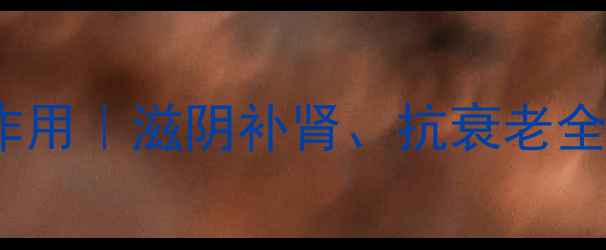 图片 生龟甲的10大养生功效与作用｜滋阴补肾、抗衰老全攻略（附食疗方与禁忌）2