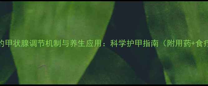 甲基硫氧嘧啶的甲状腺调节机制与养生应用科学护甲指南附用药食疗运动方案