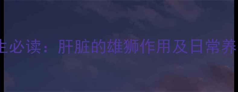 图片 男性养生必读：肝脏的雄狮作用及日常养护指南2