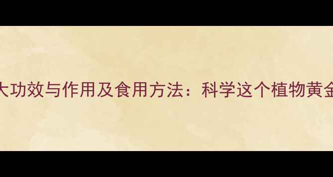 番茄红素十大功效与作用及食用方法科学这个植物黄金的养生密码