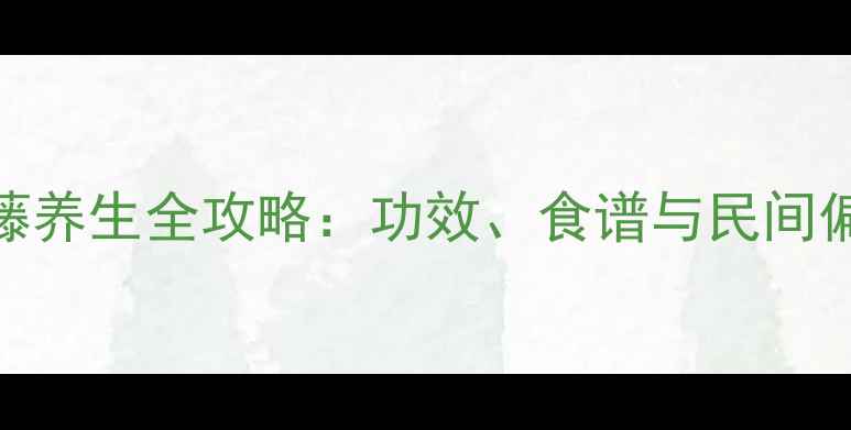 图片 白花鸡屎藤养生全攻略：功效、食谱与民间偏方大公开
