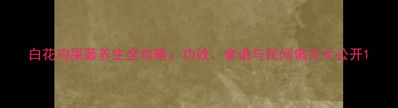 白花鸡屎藤养生全攻略功效食谱与民间偏方大公开