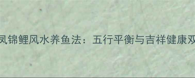 白金龙凤锦鲤风水养鱼法五行平衡与吉祥健康双修指南