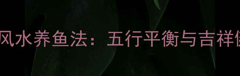 图片 白金龙凤锦鲤风水养鱼法：五行平衡与吉祥健康双修指南1