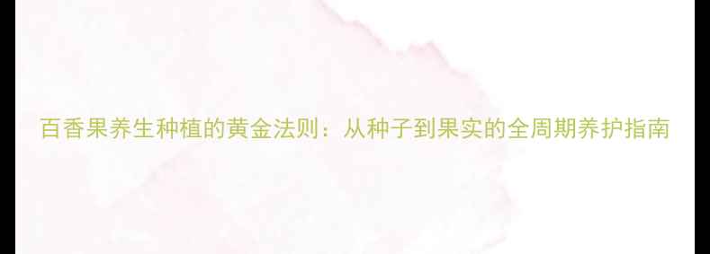百香果养生种植的黄金法则从种子到果实的全周期养护指南