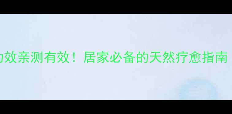 盆栽芦荟的养生功效亲测有效居家必备的天然疗愈指南附养护全攻略