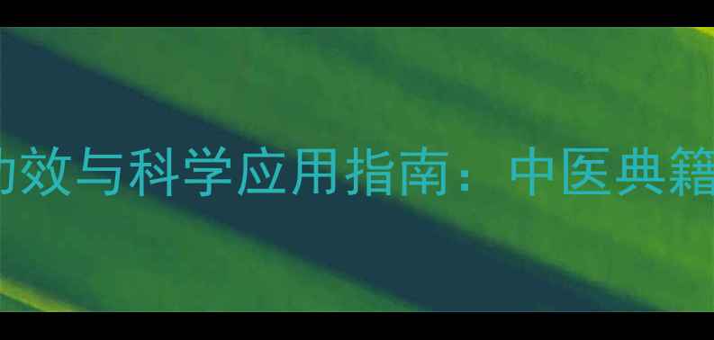 盐炒车前子的养生功效与科学应用指南中医典籍与现代研究的双重
