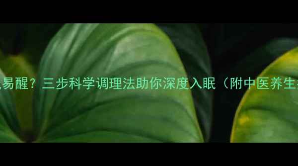 睡眠浅易醒三步科学调理法助你深度入眠附中医养生指南