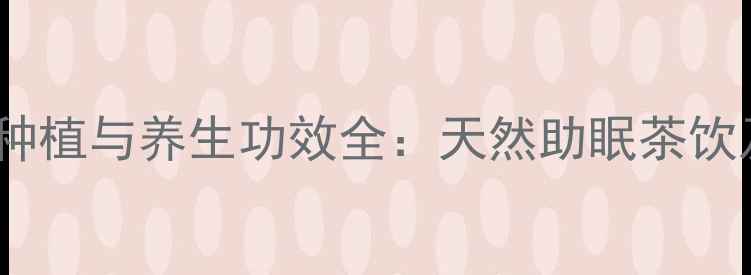 矢车菊种子家庭种植与养生功效全天然助眠茶饮及情绪调节指南