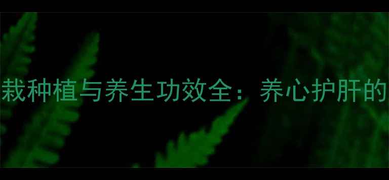 图片 石斛兰家庭盆栽种植与养生功效全：养心护肝的天然绿植指南