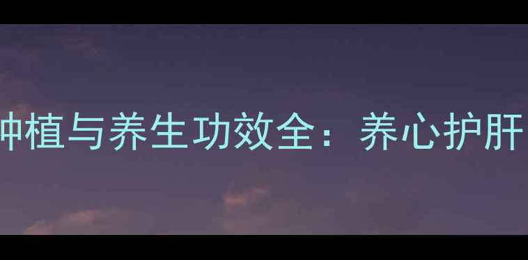 石斛兰家庭盆栽种植与养生功效全养心护肝的天然绿植指南