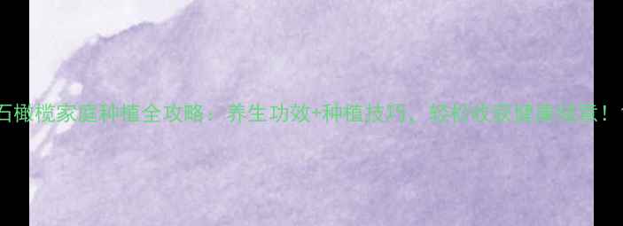 图片 石橄榄家庭种植全攻略：养生功效+种植技巧，轻松收获健康绿意！1